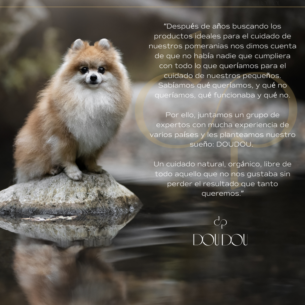 cual es el mejor shampoo para pomerania